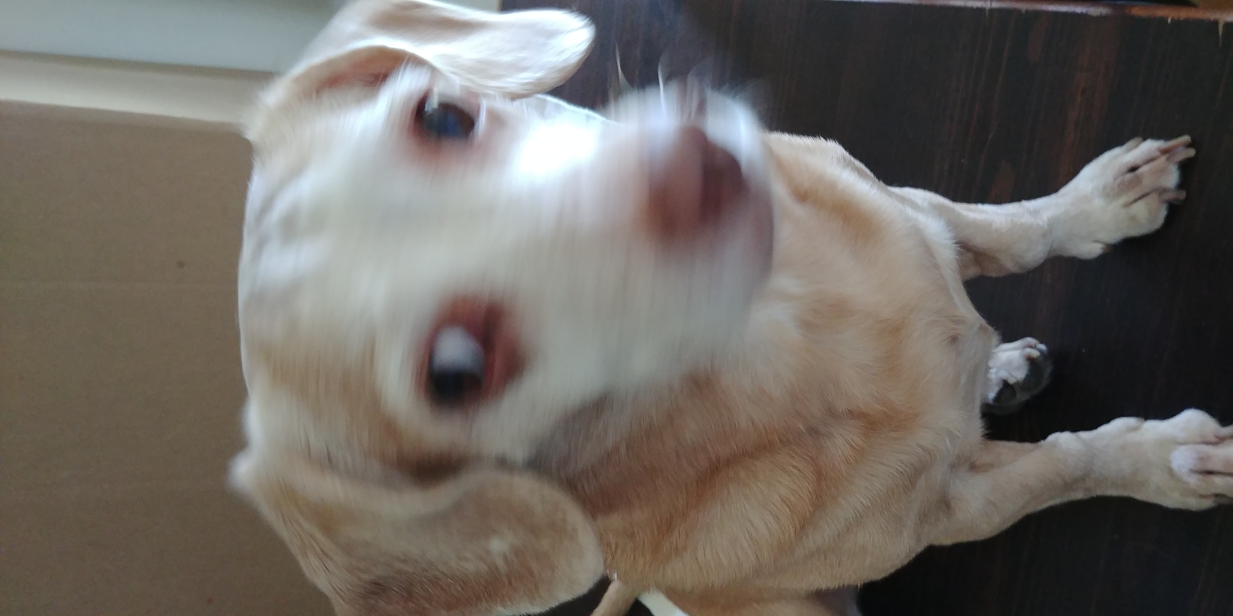20181010_135725.jpg